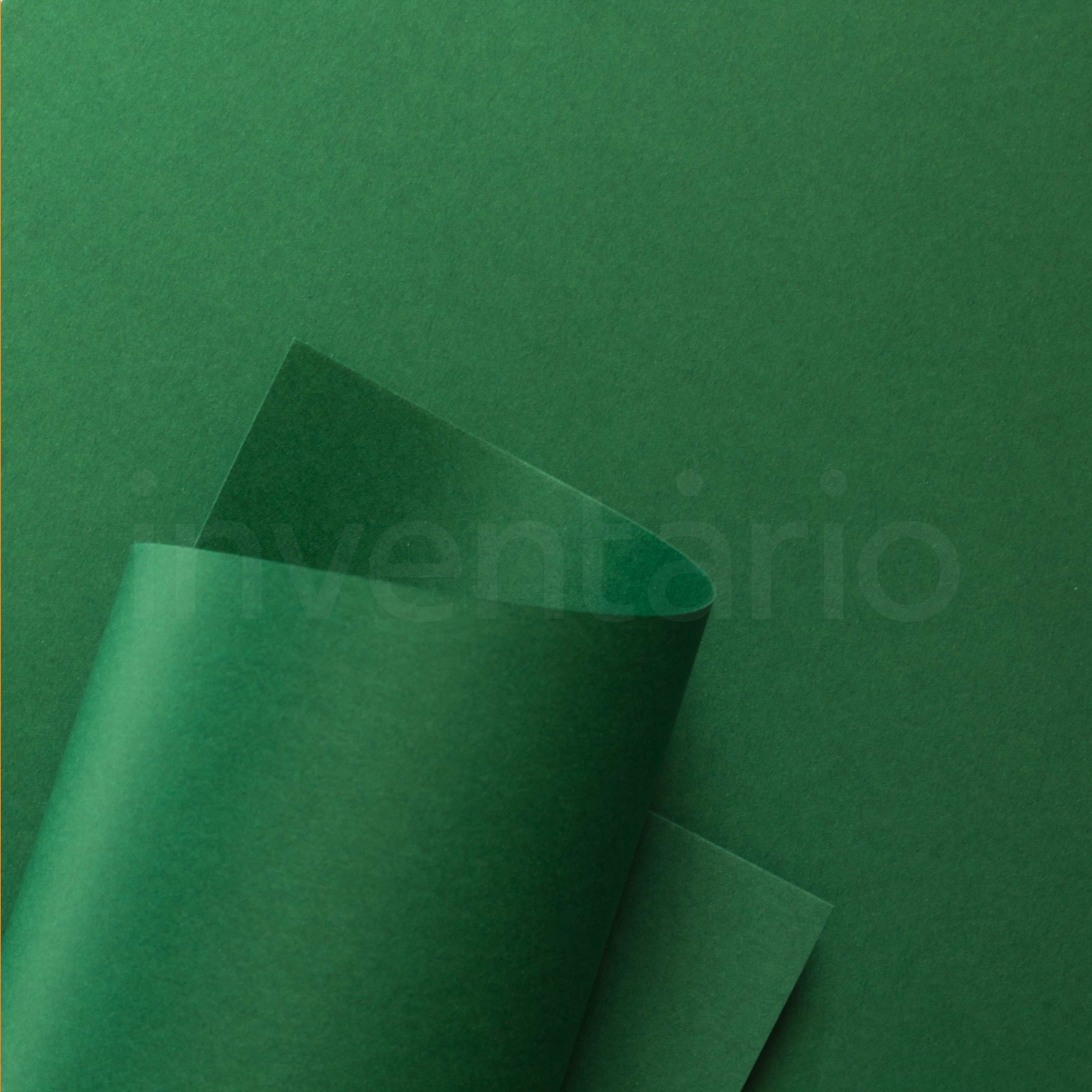 Popset Cactus Green 2fls 66x48cm Inventário